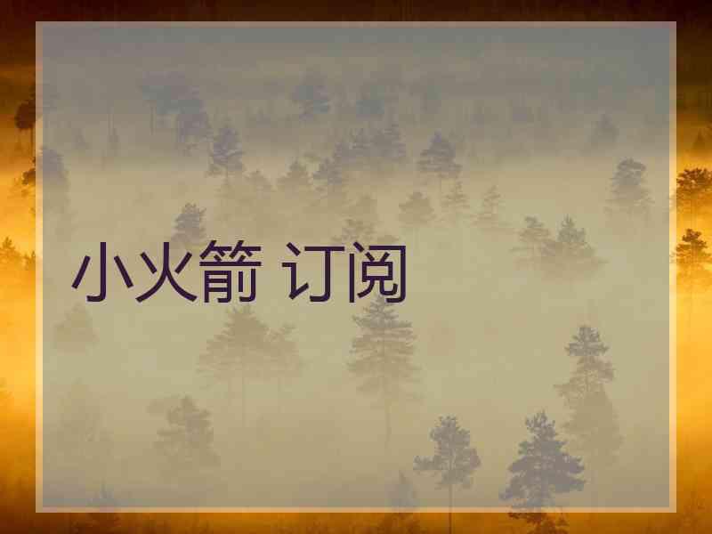 小火箭 订阅