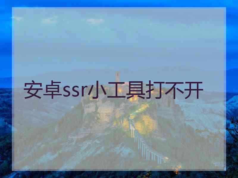 安卓ssr小工具打不开