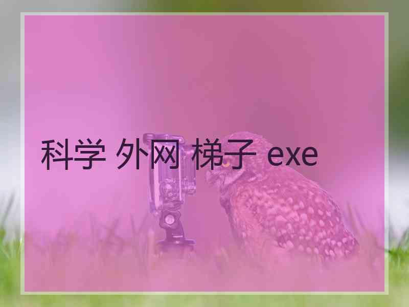 科学 外网 梯子 exe