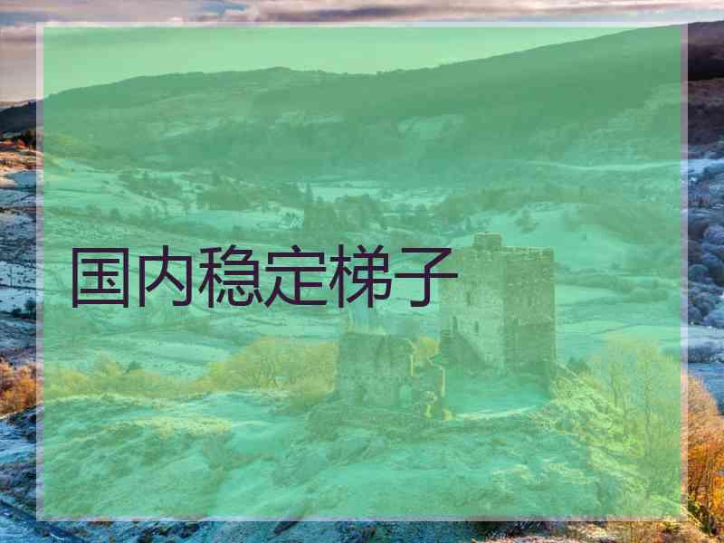 国内稳定梯子