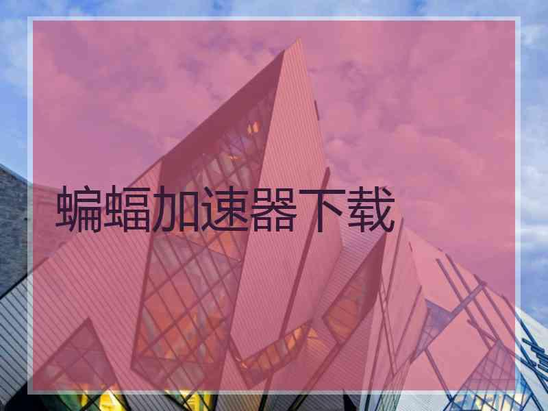 蝙蝠加速器下载
