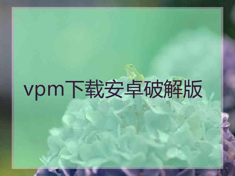 vpm下载安卓破解版