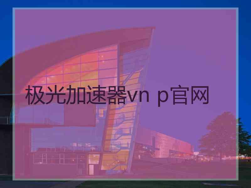 极光加速器vn p官网