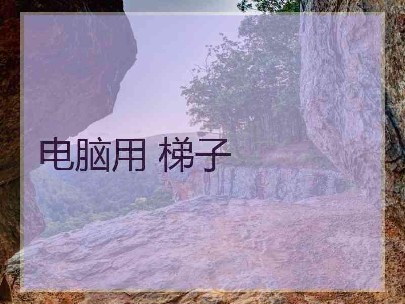 电脑用 梯子