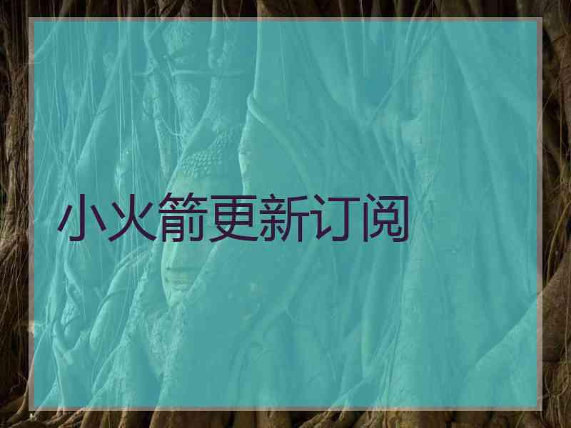 小火箭更新订阅