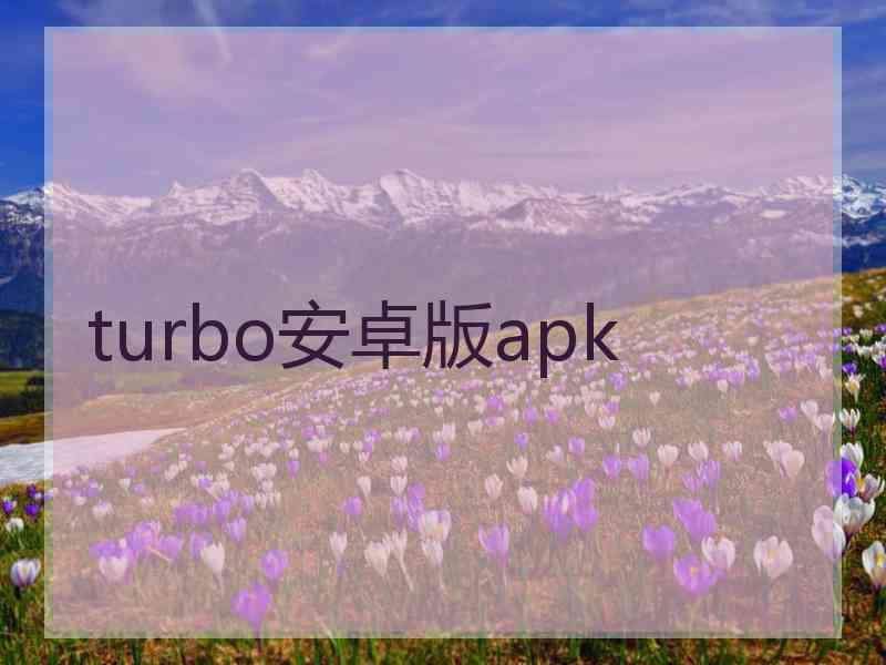 turbo安卓版apk