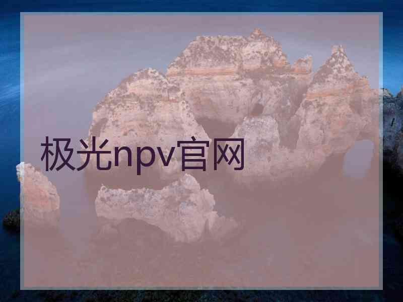 极光npv官网