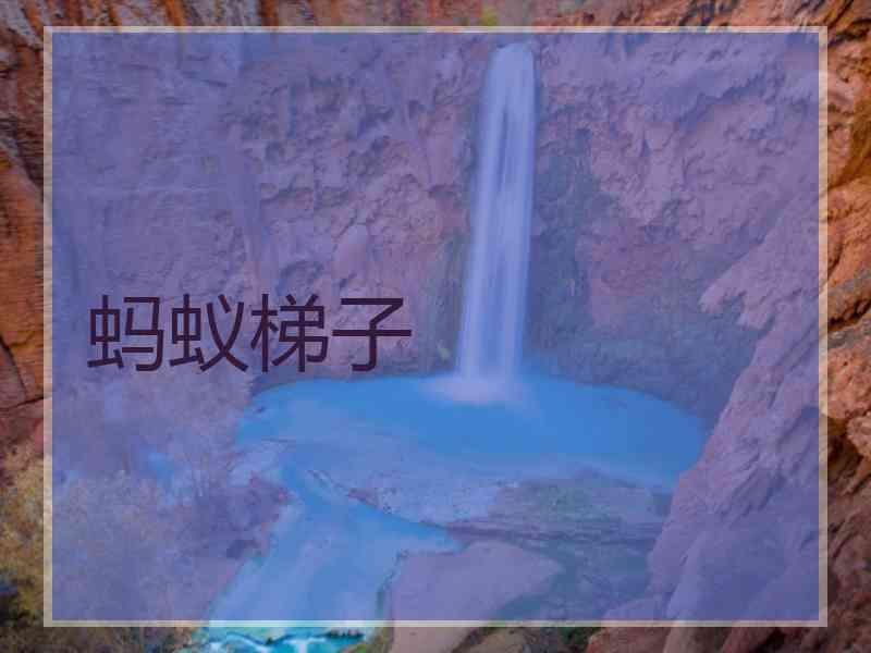 蚂蚁梯子