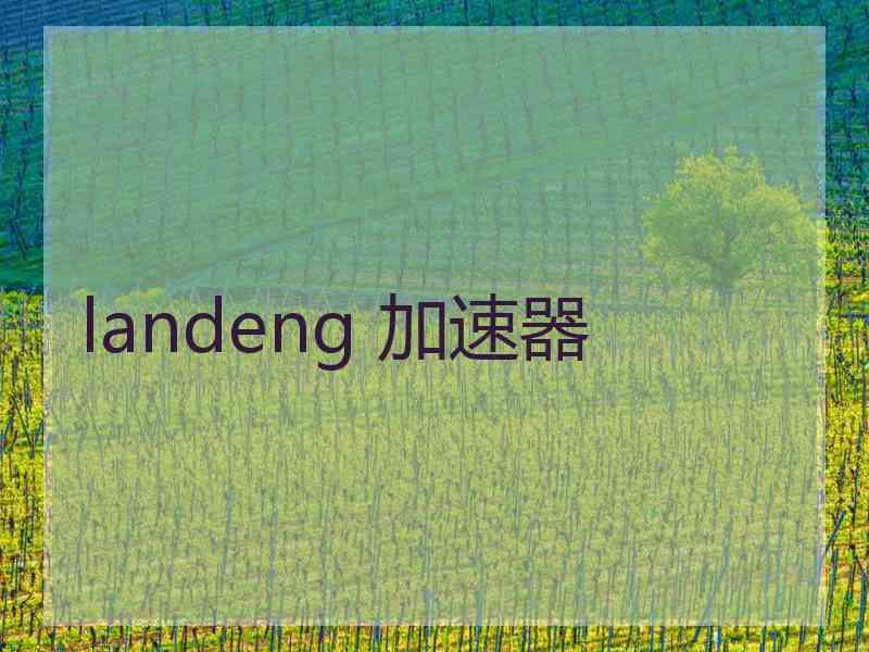 landeng 加速器