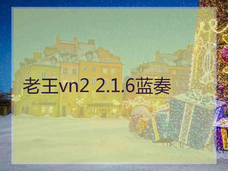 老王vn2 2.1.6蓝奏