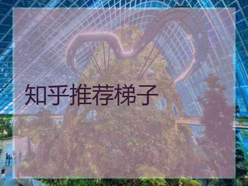 知乎推荐梯子