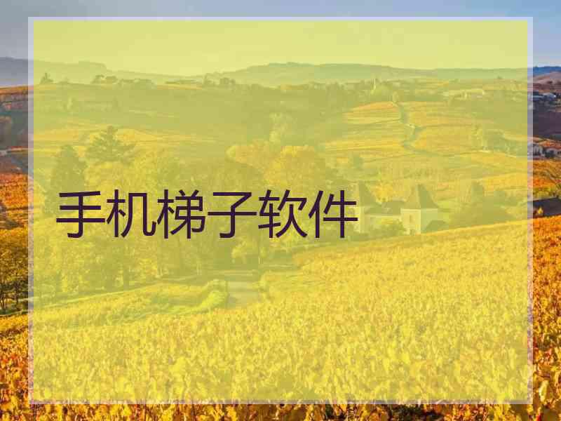 手机梯子软件