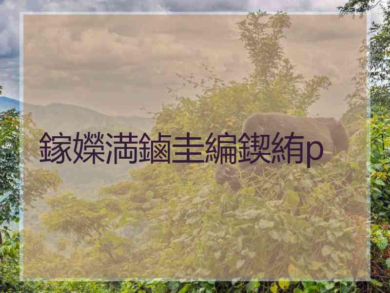 鎵嬫満鏀圭編鍥絠p