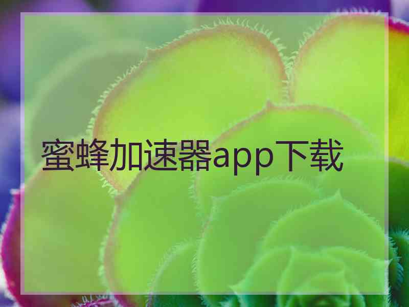 蜜蜂加速器app下载
