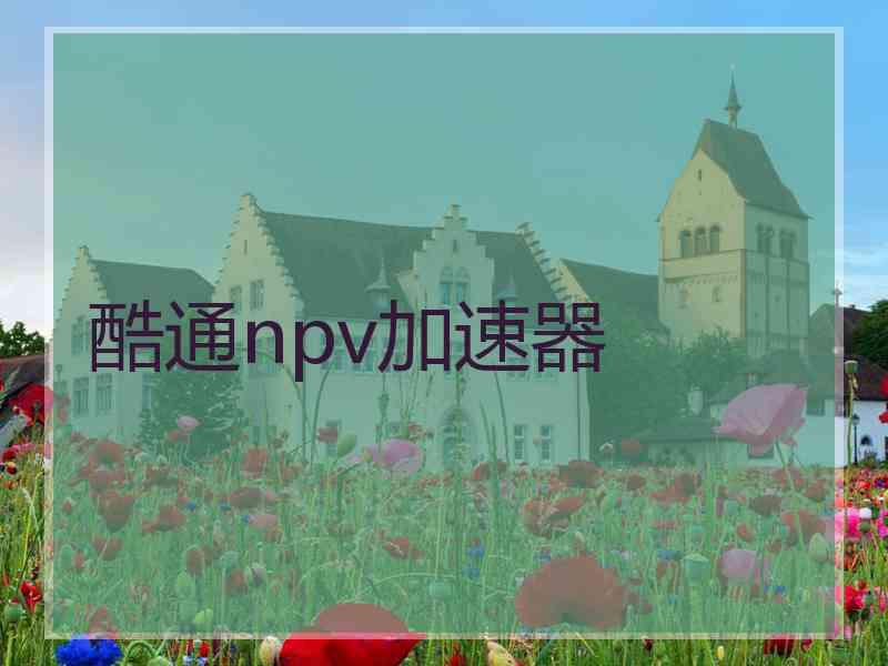 酷通npv加速器