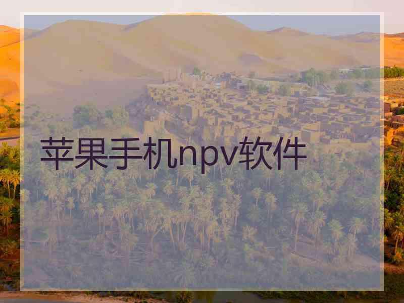 苹果手机npv软件