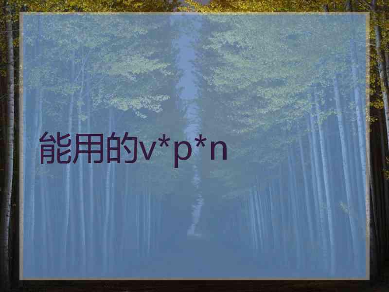 能用的v*p*n