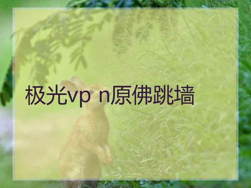 极光vp n原佛跳墙