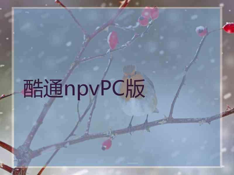 酷通npvPC版