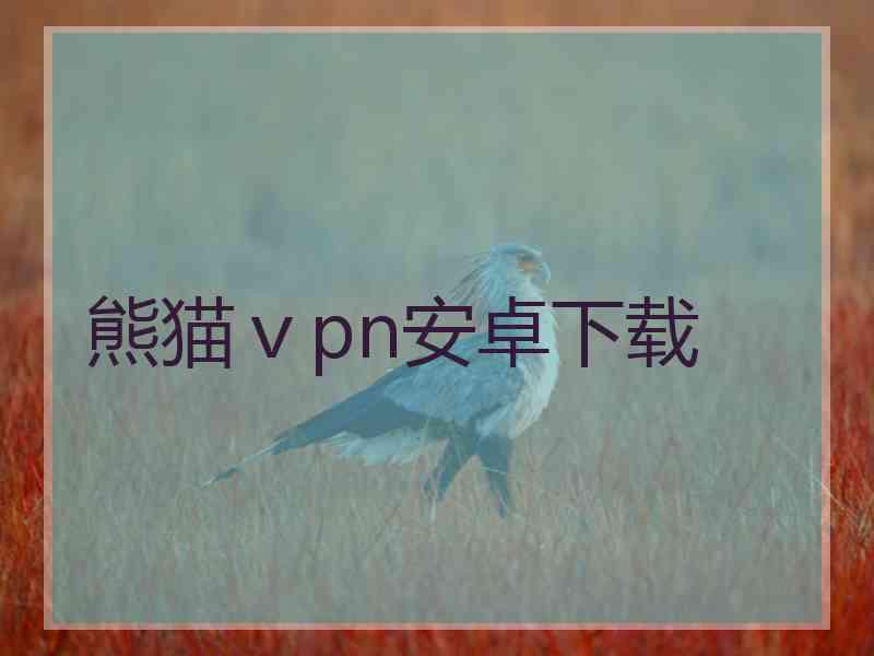 熊猫ⅴpn安卓下载