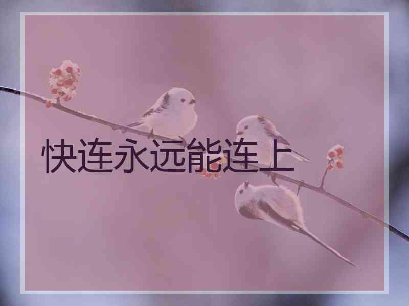 快连永远能连上