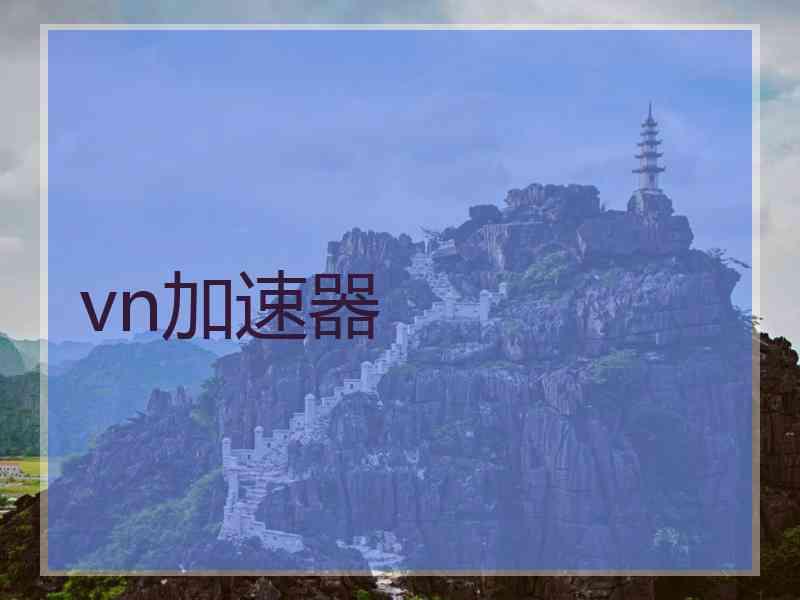 vn加速器