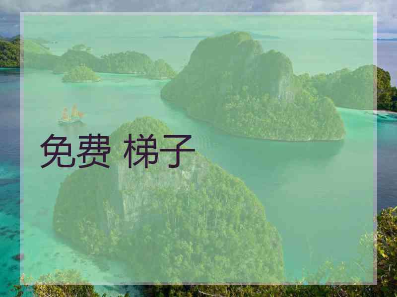 免费 梯子