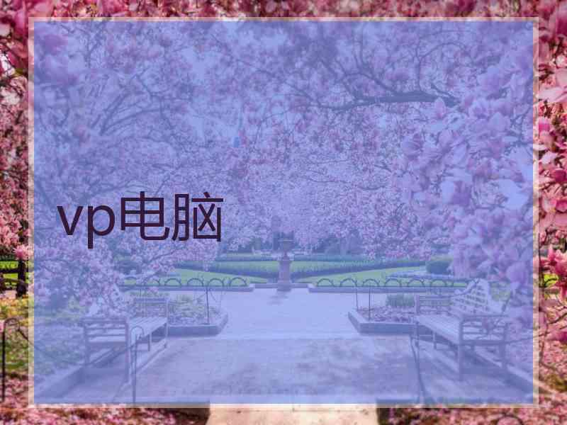 vp电脑