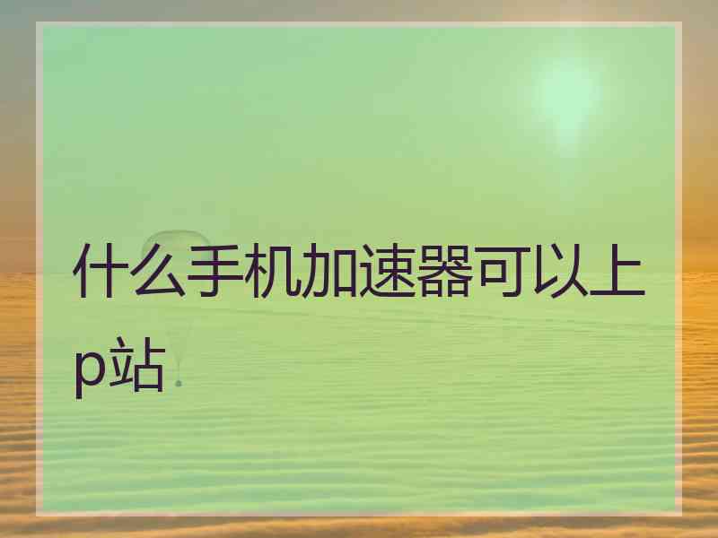 什么手机加速器可以上p站