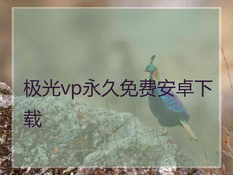 极光vp永久免费安卓下载