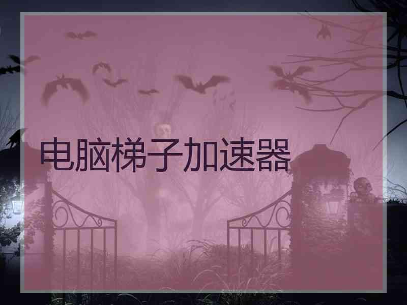 电脑梯子加速器