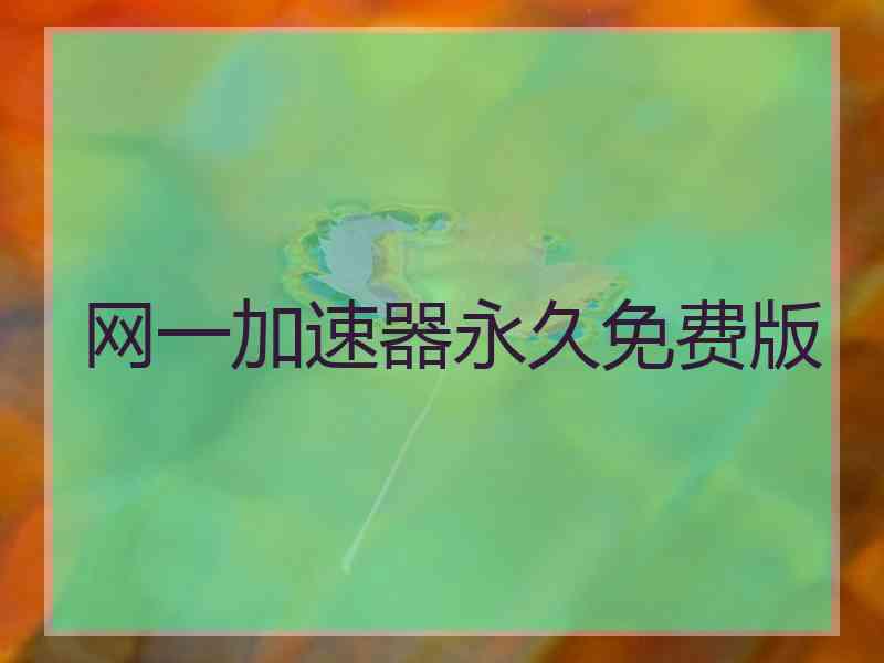 网一加速器永久免费版