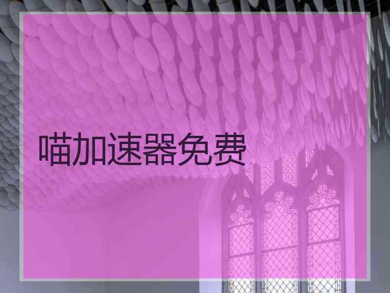 喵加速器免费