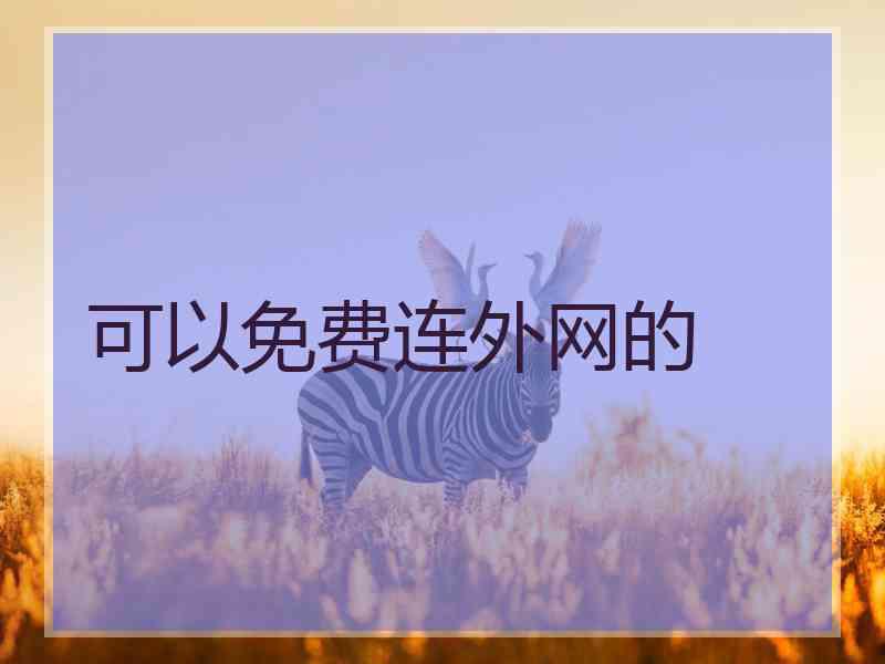 可以免费连外网的