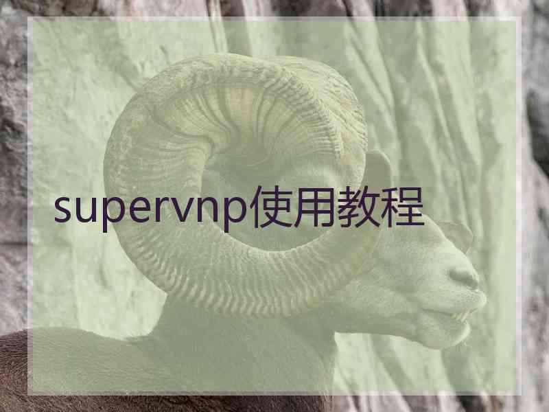 supervnp使用教程