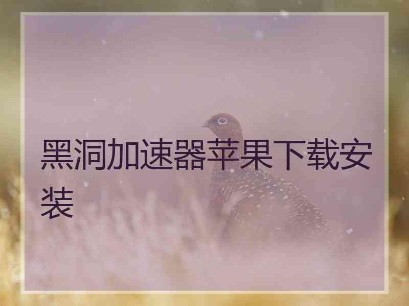 黑洞加速器苹果下载安装