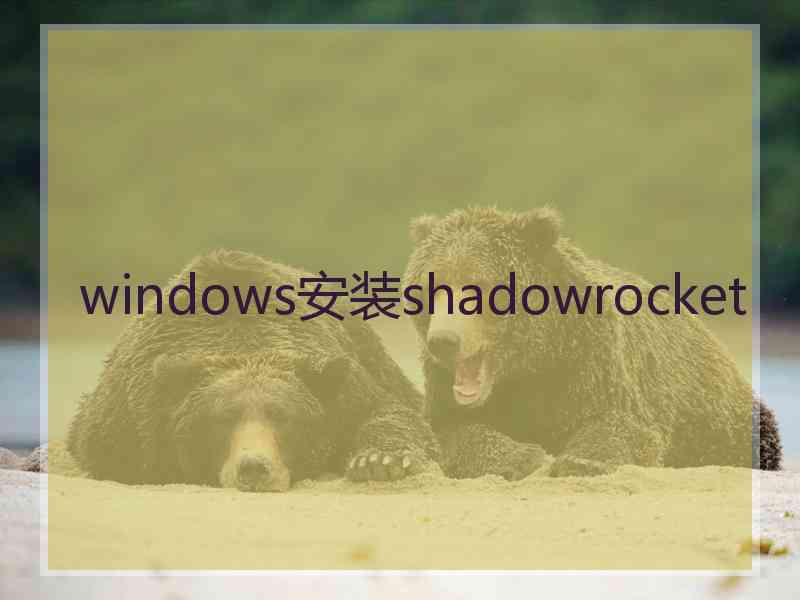 windows安装shadowrocket