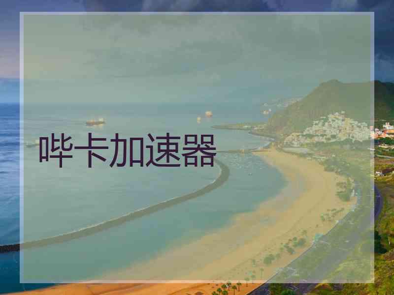 哔卡加速器