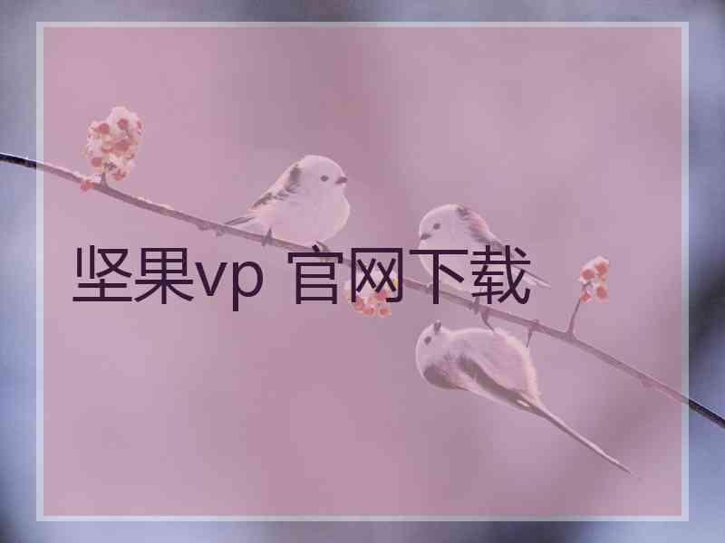 坚果vp 官网下载
