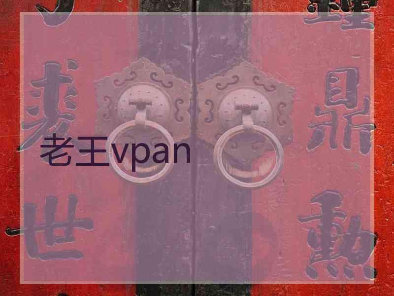 老王vpan
