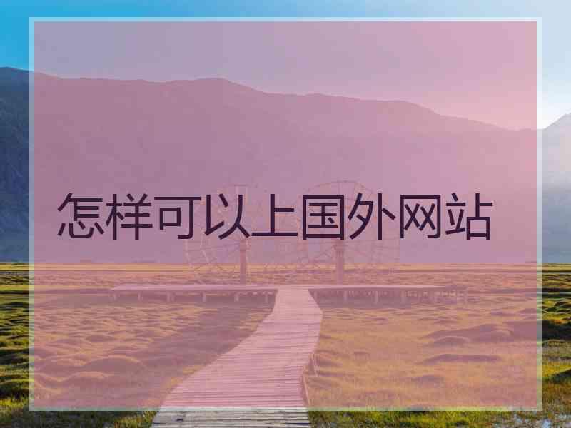 怎样可以上国外网站