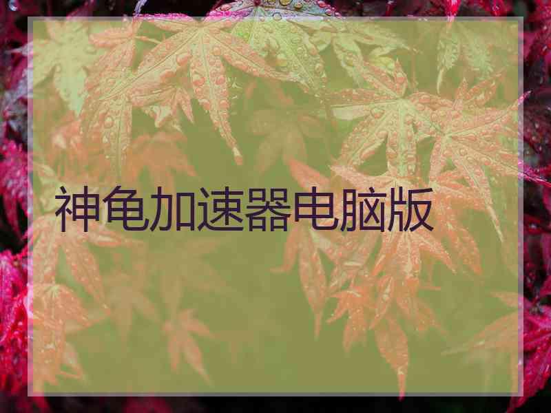 神龟加速器电脑版