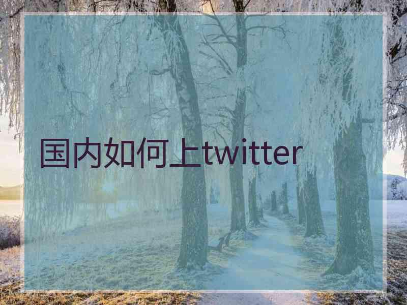国内如何上twitter
