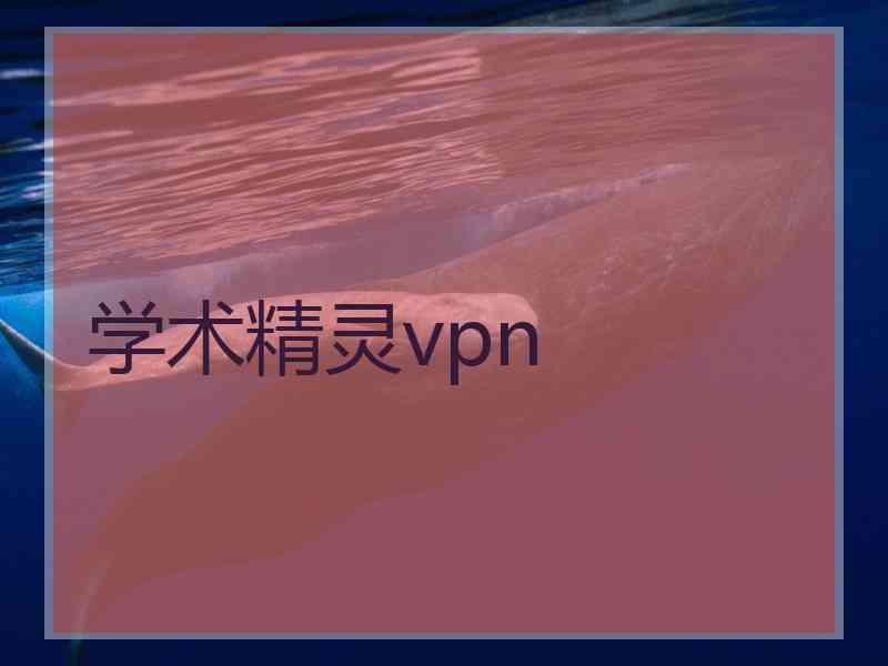 学术精灵vpn
