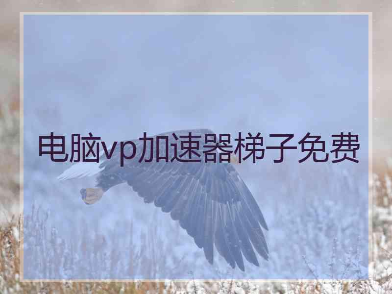电脑vp加速器梯子免费
