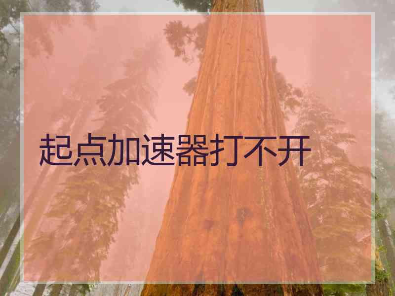 起点加速器打不开