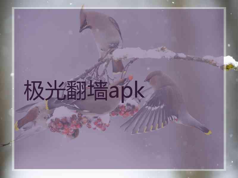 极光翻墙apk