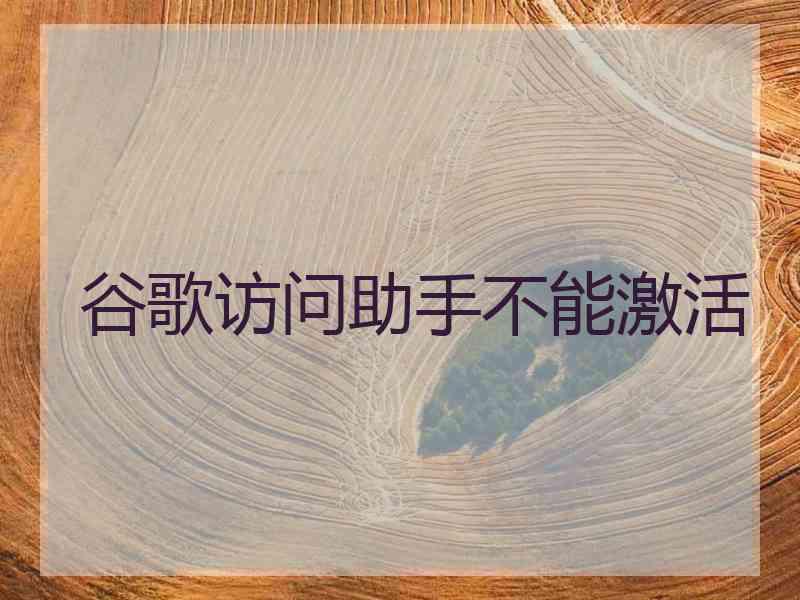 谷歌访问助手不能激活