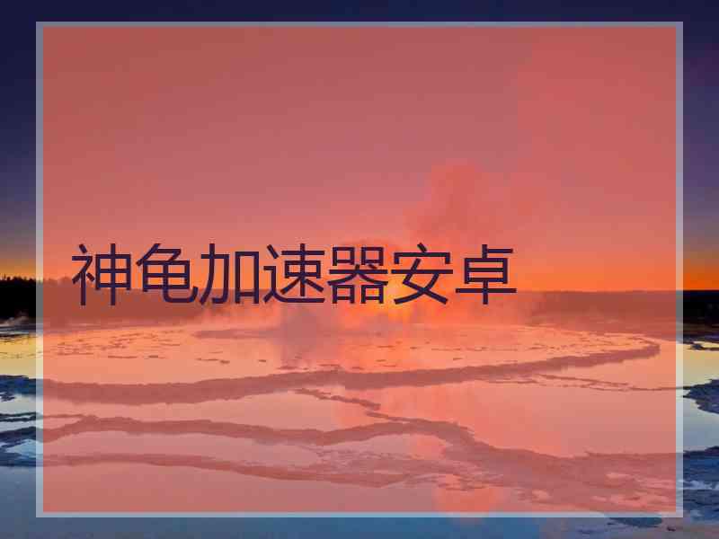 神龟加速器安卓