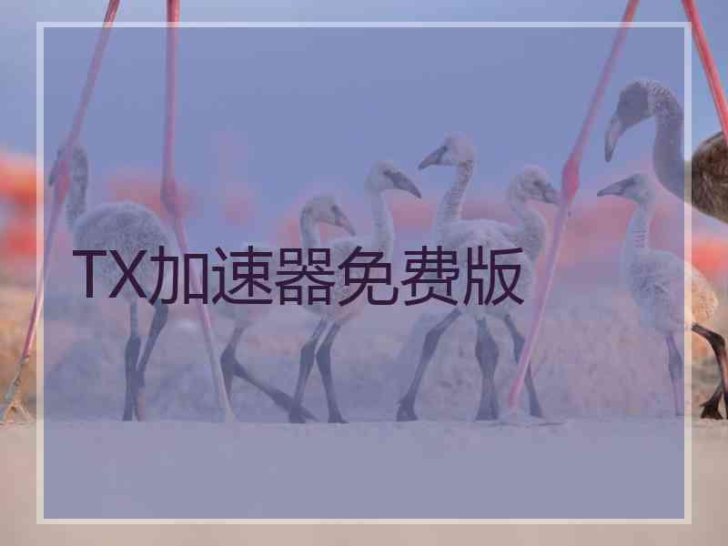 TX加速器免费版